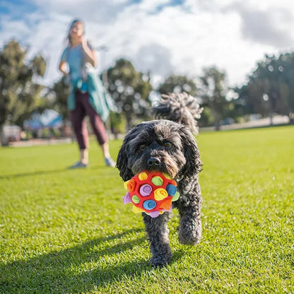 Unleash Your Pup's Inner Detective with Our Interactive Snuffle Ball! 🐾💖 Perfect for Smell Training & Foraging Fun!
